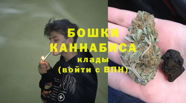 хмурый Осинники