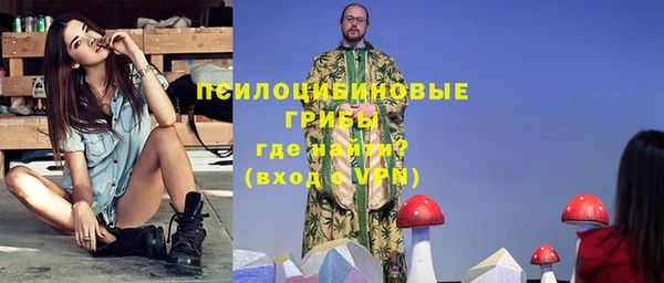 амф Осташков