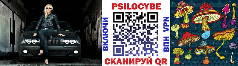 Псилоцибиновые грибы Cubensis Тверь