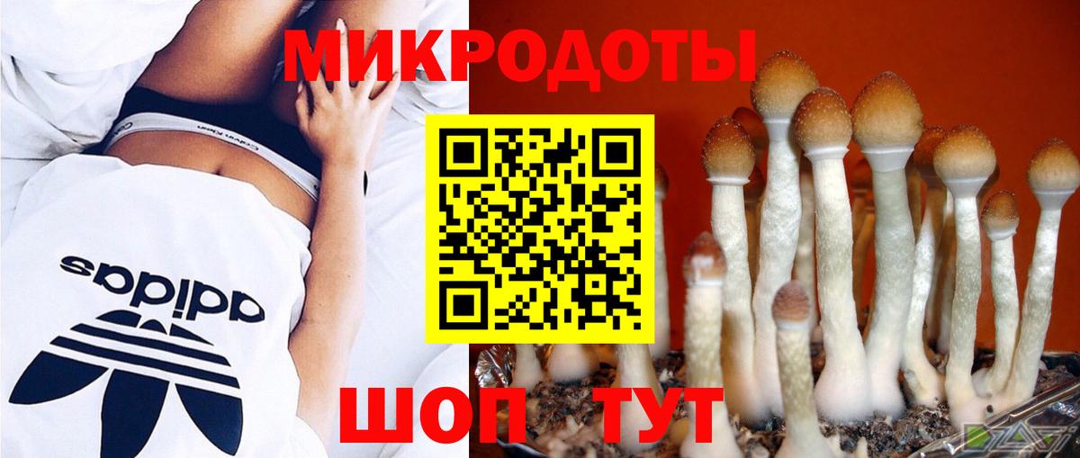 наркошоп  Вход с VPN  Тверь  Галлюциногенные грибы Psilocybe 