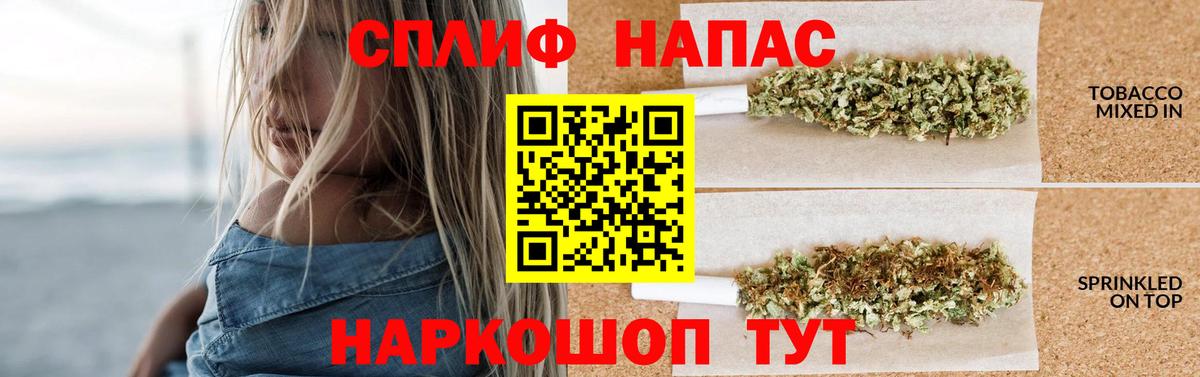 Конопля конопля Тверь